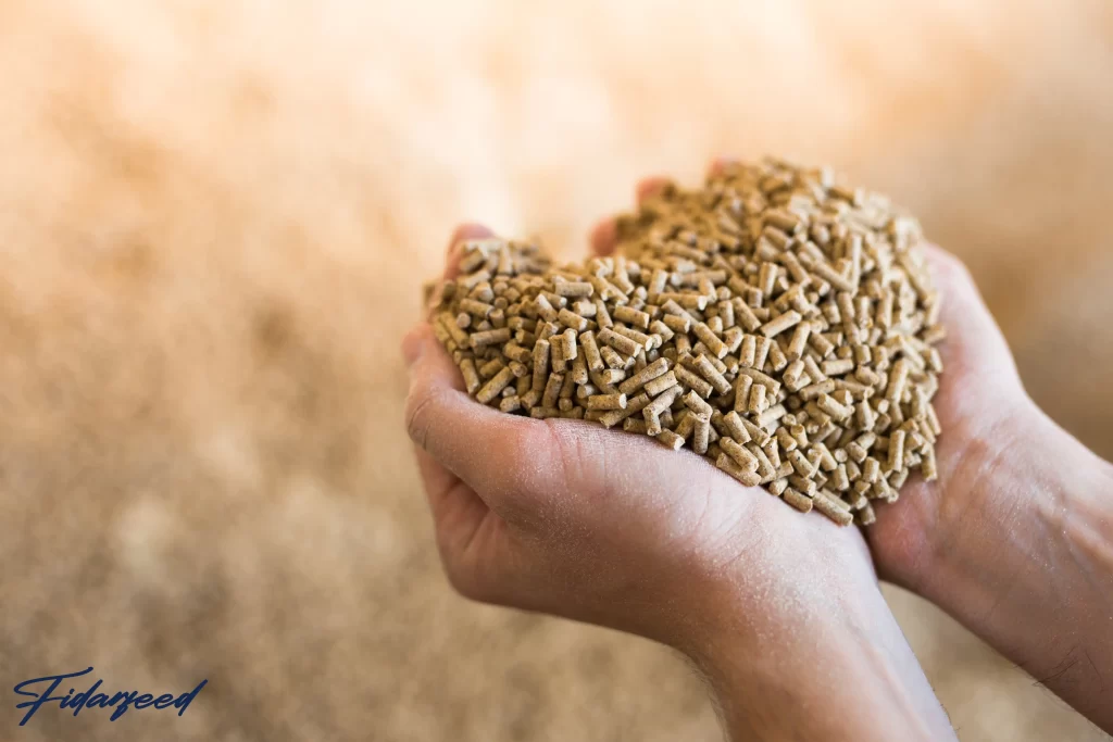 The Significance of Feed Additives in Animal Nutrition