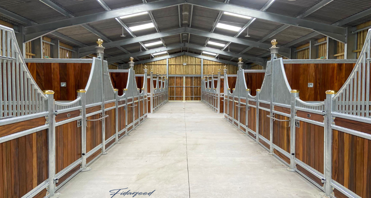 Calm and Suitable Environment for Horses