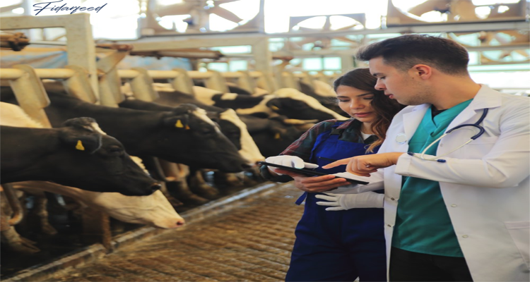 Importance of Veterinary Consultation for timely treatment of cow