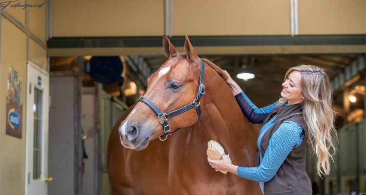 Grooming in a horse