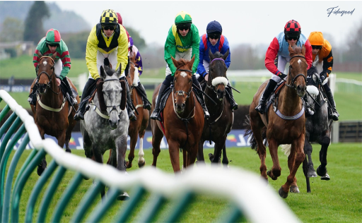 Effective Techniques to Reduce Physical Stress in Racehorses