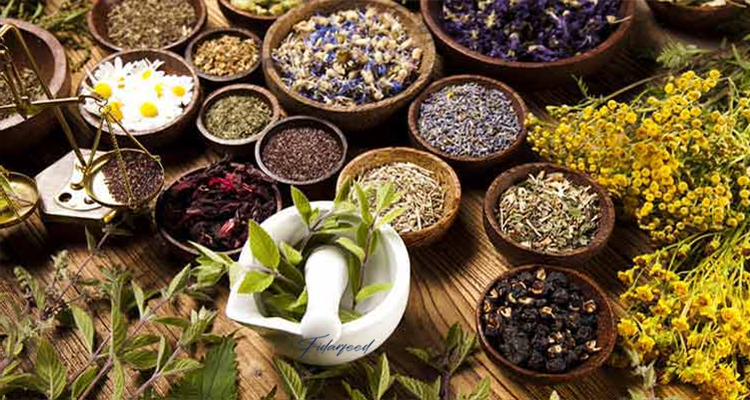 some Medicinal Plants for Broiler Chicken Nutrition