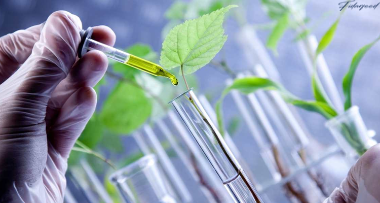 nanotechnology and enhancing productivity 