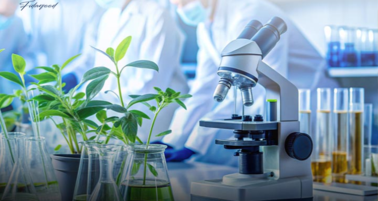 Development of agriculture and animal feed industry with biotechnology science