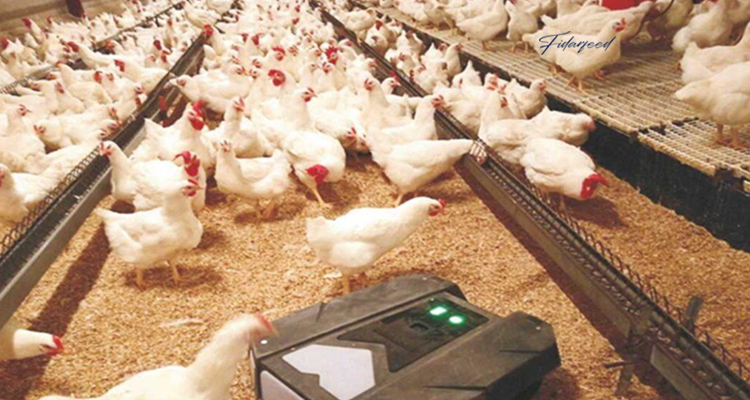 A Tool for Monitoring chicken Breeding 