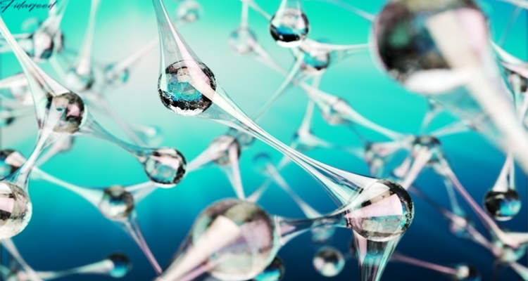 Nanotechnology: Shaping the Future of Animal Feed Additives