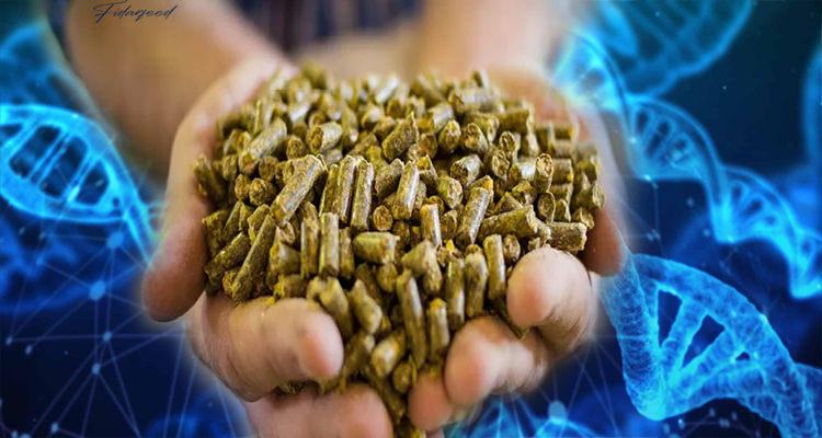 How Biotechnology is Transforming the Animal Feed Additives Industry