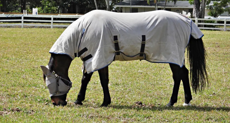 A non-invasive defense method to deal with Nile fever in horses