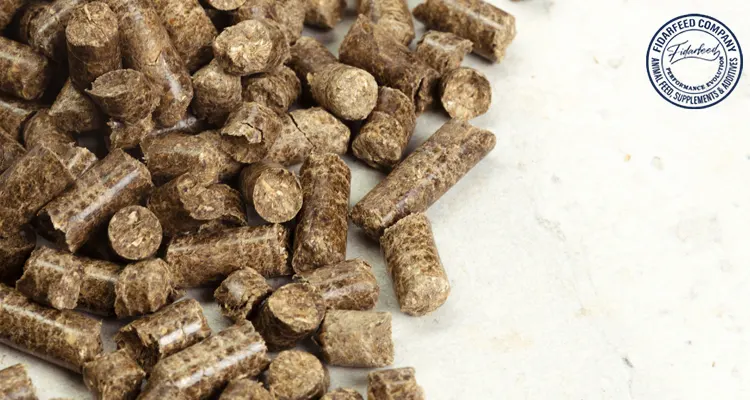 Wholesale & Retail Ready-Made Animal Feed at Competitive Prices