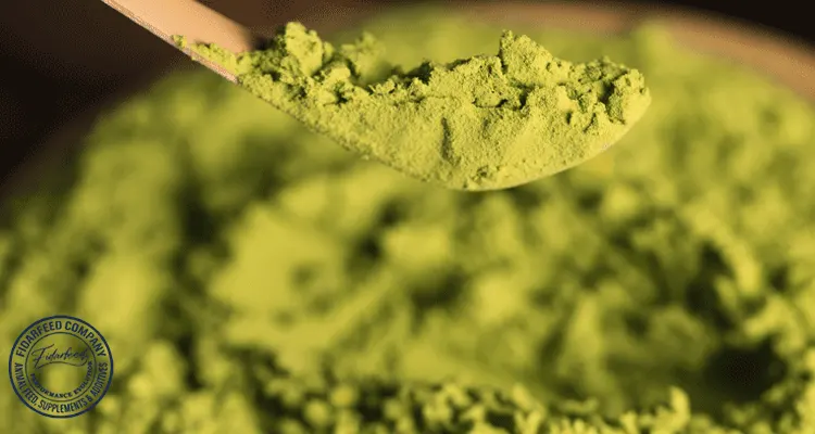 Zeolite: Unlock Better Digestion and Superior Livestock Health