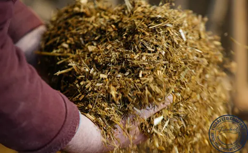 Smart Choice for Livestock Feed