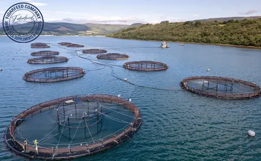 Stress in Aquaculture
