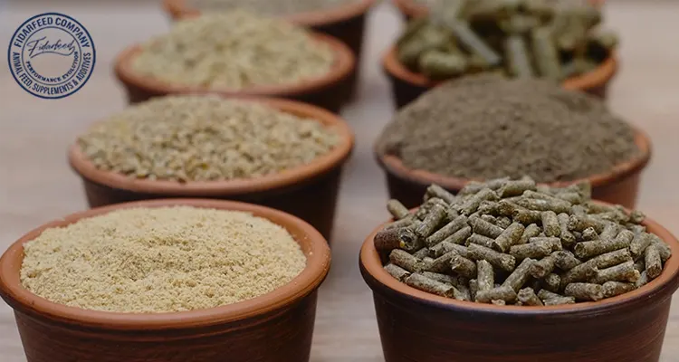 Bulk Discounts on Prepared Animal Feed: Special Sale for Farmers