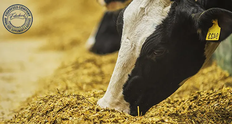 Finding a Trusted Animal Feed Supplier: Your Ultimate Guide