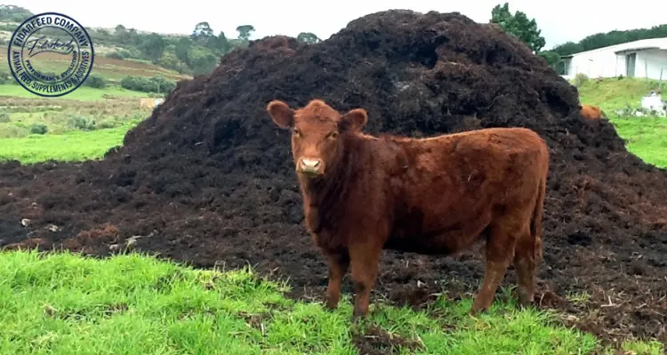 Essential Guide to Efficient Livestock Waste Management