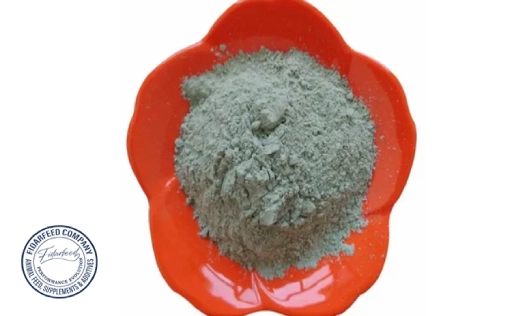 Top Zeolite Suppliers in Iran and Worldwide