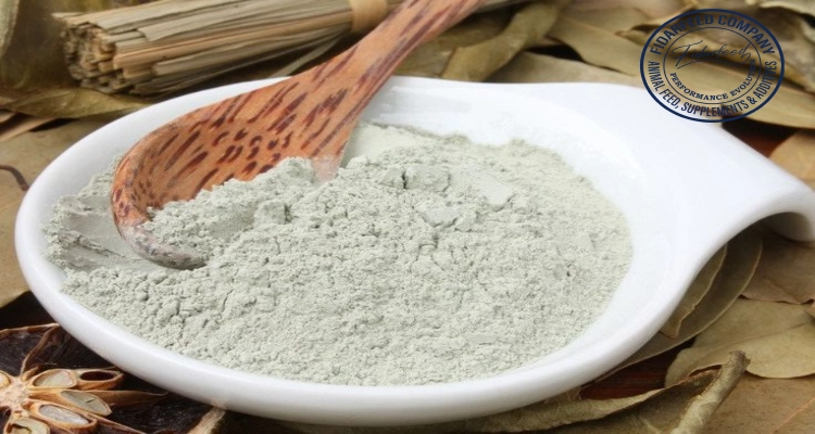 Tips for Buying High-Quality Bentonite at Competitive Prices