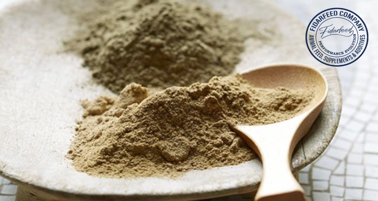 Why Poultry Producers Trust Bentonite in Layer Feed