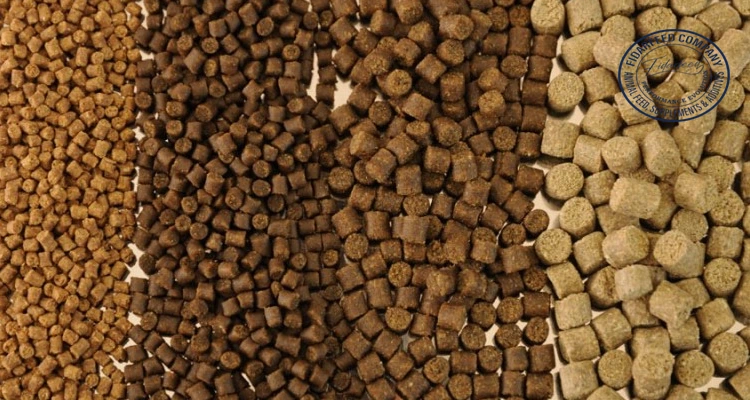 Daily Feed Prices for Livestock, Poultry & Aquaculture: Quality vs. Cost