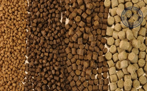 Daily Feed Prices for Livestock, Poultry & Aquaculture