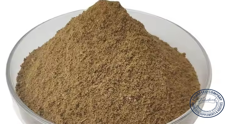 Boost Your Poultry's Growth with Sustainable, High-Quality Processed Meat Meal