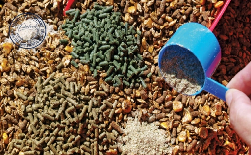 biotechnology in animal feeds and animal feeding