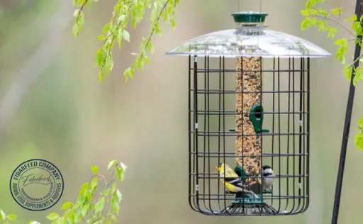 Probiotic Caged Birds