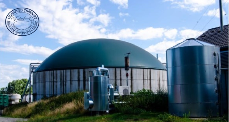 Smart Chicken Waste Management: Sustainable Solutions for Poultry Farmers