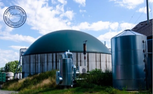 Smart Chicken Waste Management