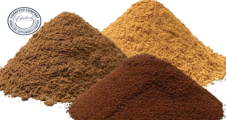 Optimizing Poultry Diets: Processed Meat Meal in Animal Feed for Enhanced Protein