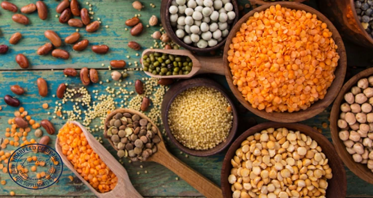 Beyond Soy: A Nutritional Showdown of Alternative Protein Sources