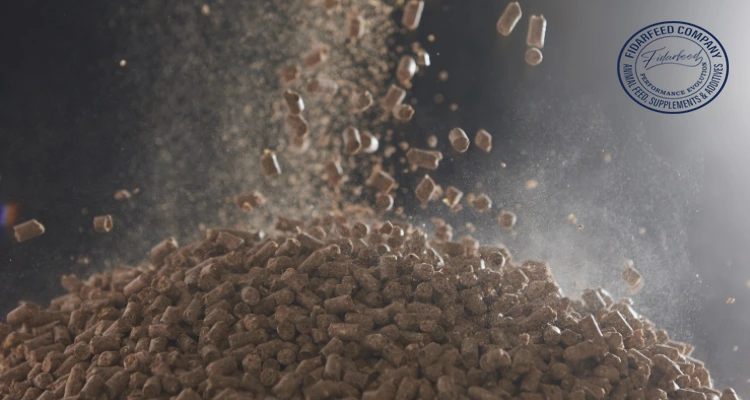 How Enzymes Enhance Protein Absorption from Alternative Animal Feeds