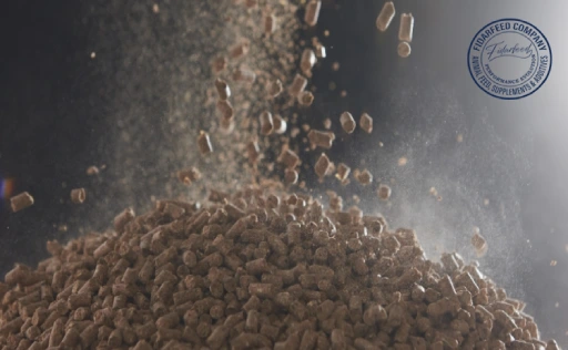 How Enzymes Enhance Protein Absorption in Animal Feeds