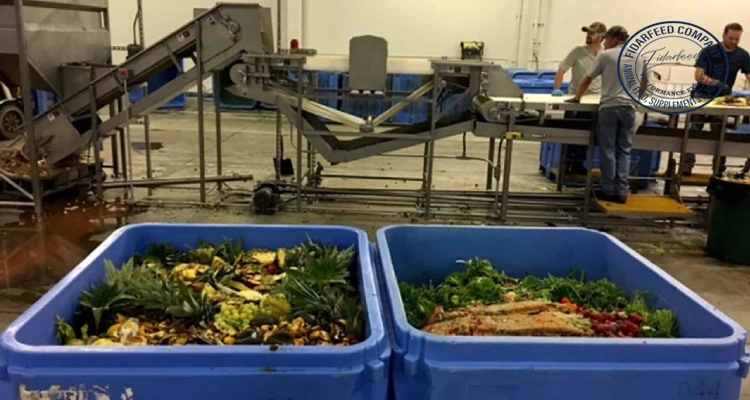 Revolutionizing Animal Feed: Lowering Costs Through Upcycled Food Waste