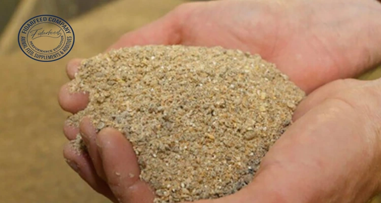 What is Animal Meal? Understanding its Composition & Uses