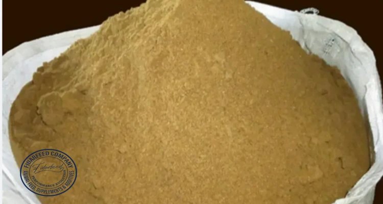 Processed Meat Meal Supplier | High-Quality Ingredients for Animal Feed