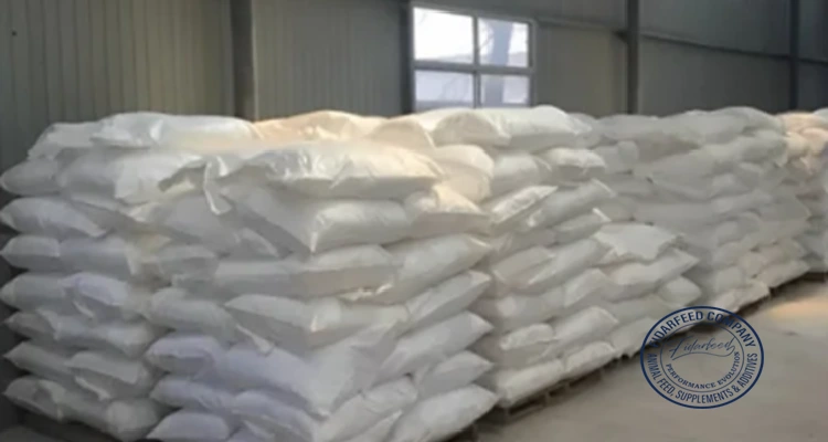 Zeolite Bulk Suppliers: Your Global Source for High-Quality Zeolites