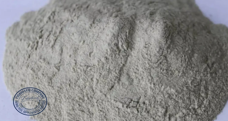 Bentonite Feed: Enhancing Animal Health & Performance