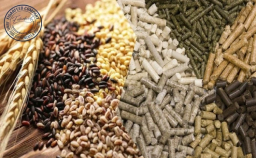 Animal Feed Additives: A Complete Guide